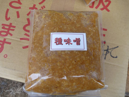 種味噌