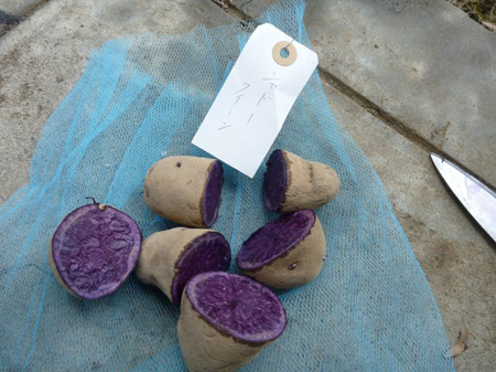 シャドークイーン