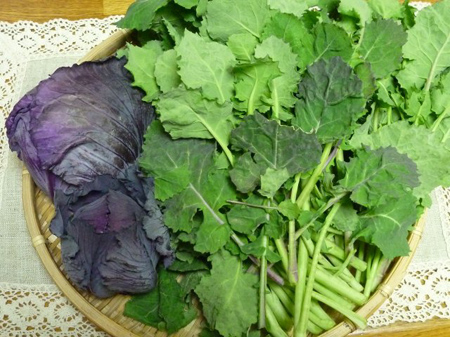 のらぼう菜とルビーボールキャベツ
