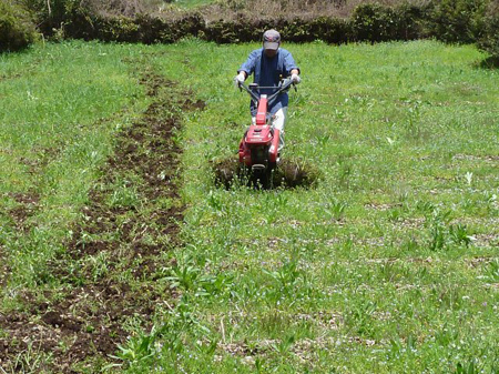 自前の耕耘機