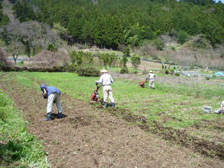 はかがいかない