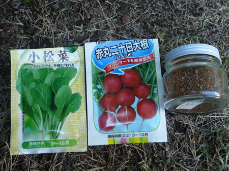 葉物、小松菜・二十日大根・ルッコラ