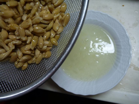 ペクチンを抽出