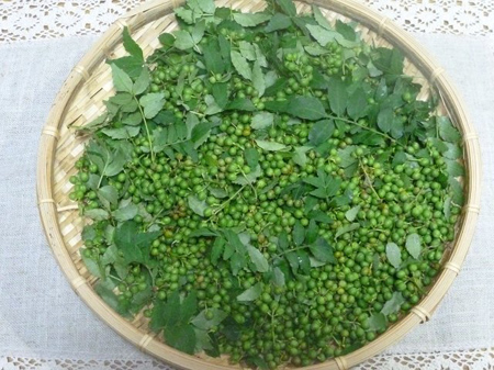 青実山椒