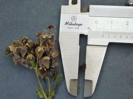 残念でなりません