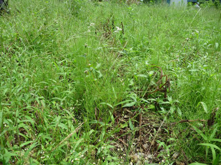 どこだか分からない