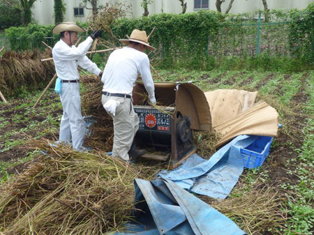 脚踏み脱穀機