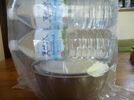 ペットボトル２本