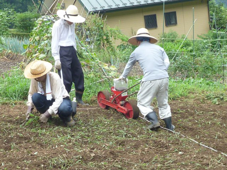 種蒔きごんべえ
