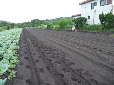 たねまきごんべえ