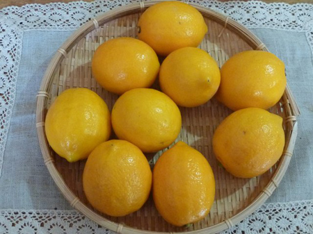 メイヤーレモン