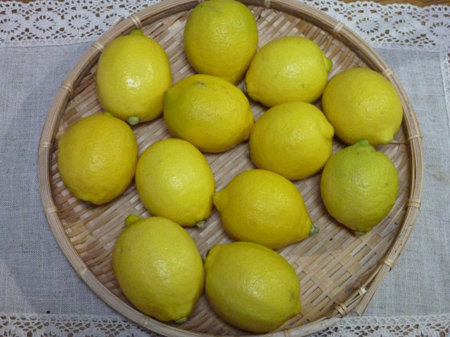 国産無農薬レモン