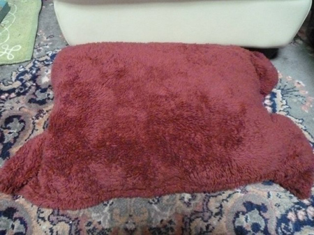 ホットカーペット