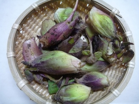 早春の香りと苦味