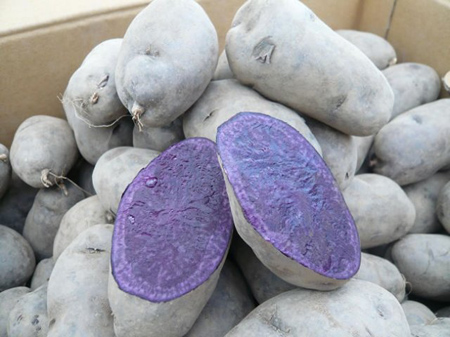 シャドークイーン