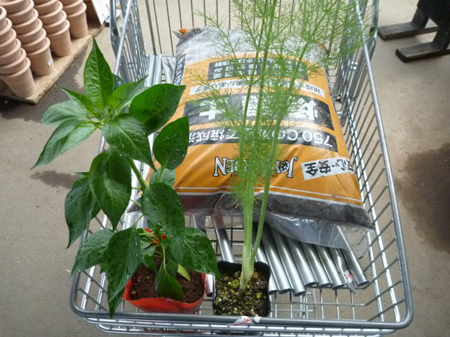 ホームセンター