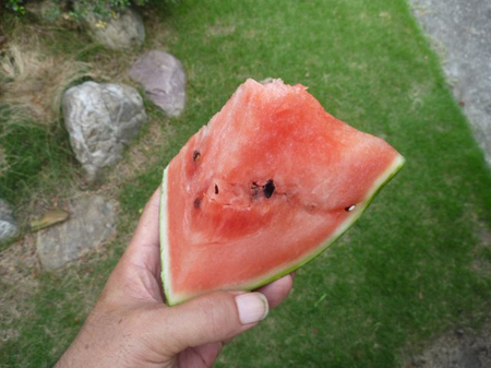 スポーツドリンク