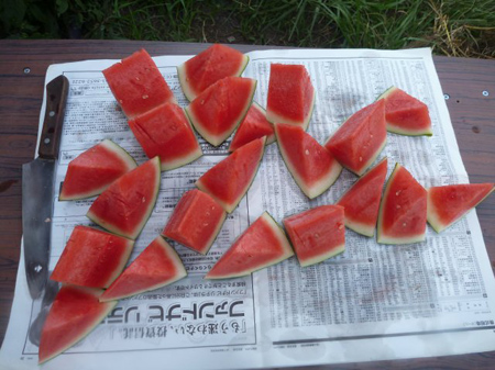 スイカ