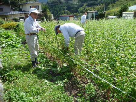 支えてやります
