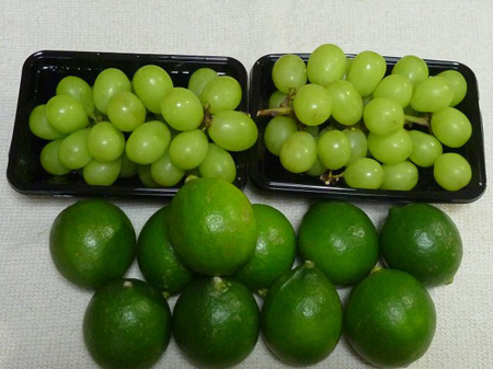 シャインマスカット