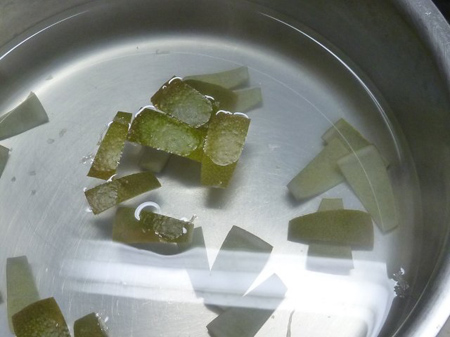 メイヤーレモン果皮