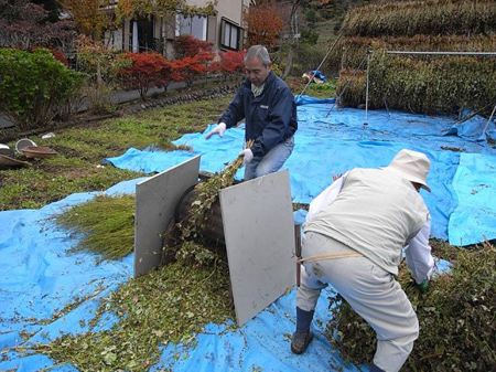足踏み脱穀機