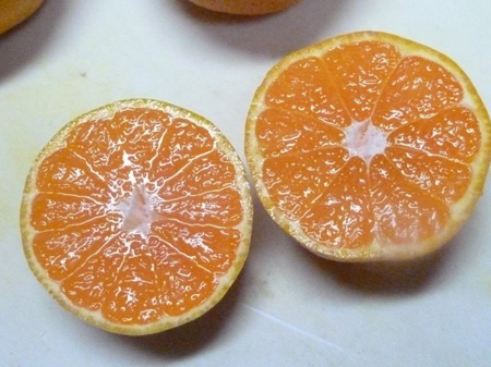 みかんの見分け方