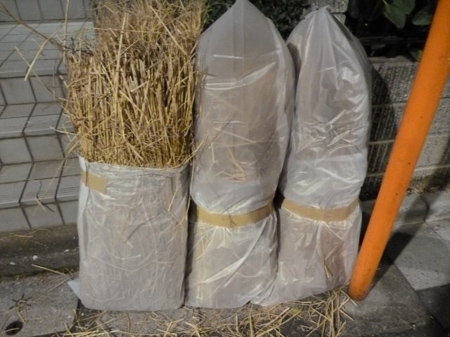 檜原蕎麦結束用の稲藁