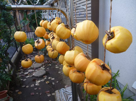 Vol 1422 干し柿作り 修理人たぐちの徒然日記 カメラのキタムラ