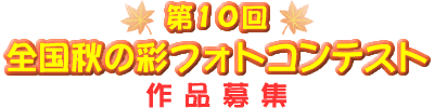 �u�H�̍ʂ�v�t�H�g�R���e�X�g