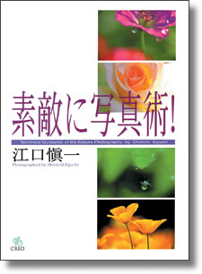 ほほえみがえし : 江口愼一写真集 : sweet