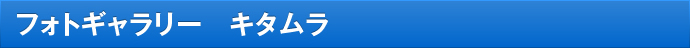 フォトギャラリー　キタムラ