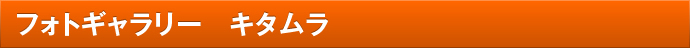 フォトギャラリー　キタムラ