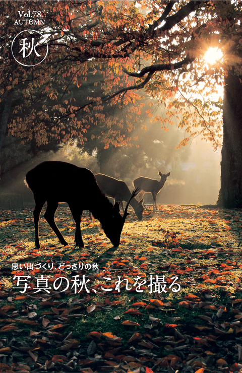 思い出づくりどっさりの秋　写真の秋、これを撮る　Vol.78　AUTUMN 秋
