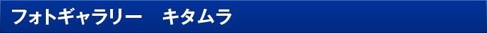 フォトギャラリー　キタムラ