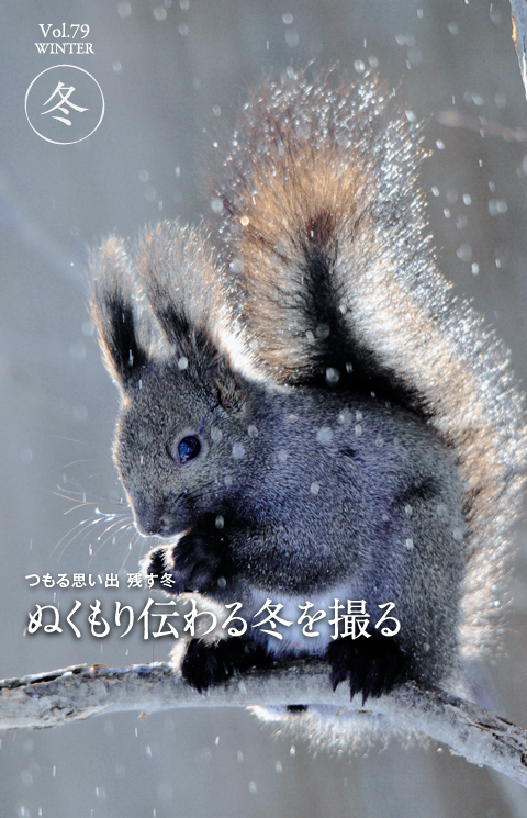 つもる思い出 残す冬　ぬくもり伝わる冬を撮る　フォトライフ四季Vol.79　WINTER