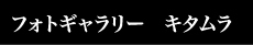 フォトギャラリー　キタムラ