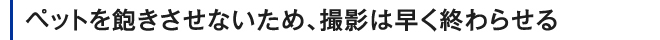 ペットを飽きさせないため、撮影は早く終わらせる
