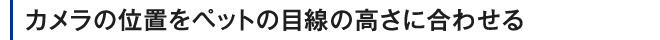 カメラの位置をペットの目線の高さに合わせる