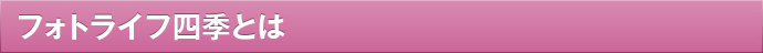 フォトライフ四季とは