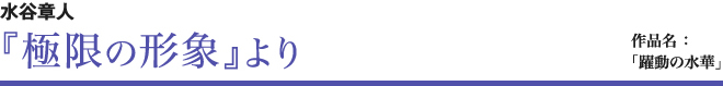 水谷章人『極限の形象』より 作品名「躍動の水華」