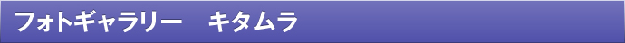 フォトギャラリー　キタムラ