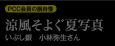 PCC会員の腕自慢　涼風そよぐ夏写真　いぶし銀　小林弥生さん