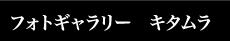 フォトギャラリー　キタムラ