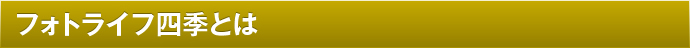フォトライフ四季とは
