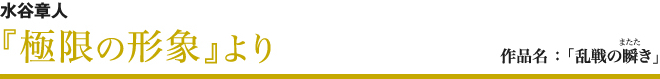 水谷章人『極限の形象』より 作品名「躍動の水華」