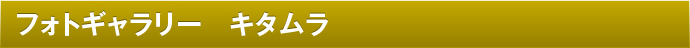 フォトギャラリー　キタムラ