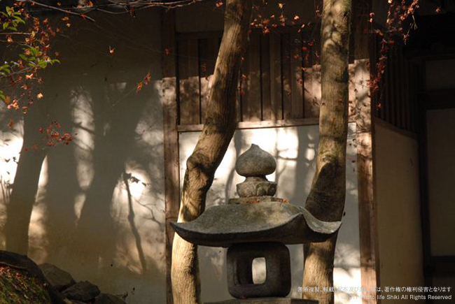 「フォトライフ四季 vol.82 AUTUMN」 ｜第6回CAMARADE写真展