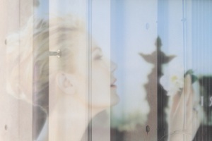 ショーウィンドウ