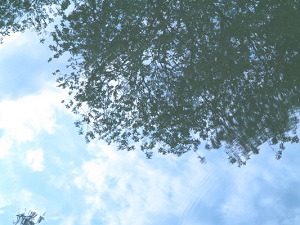 水面への写りこみ